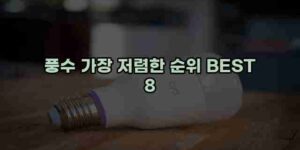 알리파파의 가성비 알리 제품 추천 48495 78