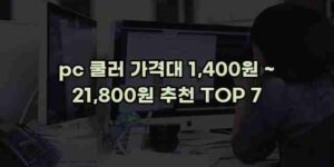 알리파파의 가성비 알리 제품 추천 49001 98