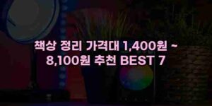 알리파파의 가성비 알리 제품 추천 48495 55