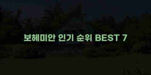 알리파파의 가성비 알리 제품 추천 48634 93