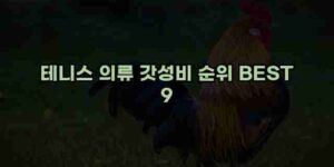 알리파파의 가성비 알리 제품 추천 48532 17