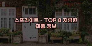 알리파파의 가성비 알리 제품 추천 48634 67