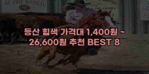 알리파파의 가성비 알리 제품 추천 48745 122