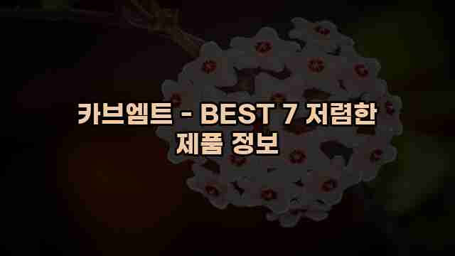 카브엠트 - BEST 7 저렴한 제품 정보