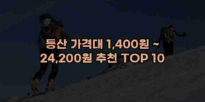 알리파파의 가성비 알리 제품 추천 48745 93