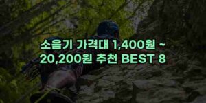 알리파파의 가성비 알리 제품 추천 48745 68