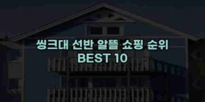 알리파파의 가성비 알리 제품 추천 48836 68