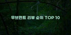 알리파파의 가성비 알리 제품 추천 48836 40