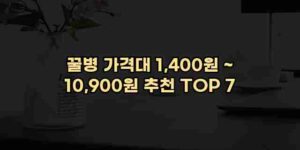 알리파파의 가성비 알리 제품 추천 48962 91