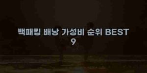 알리파파의 가성비 알리 제품 추천 48970 42