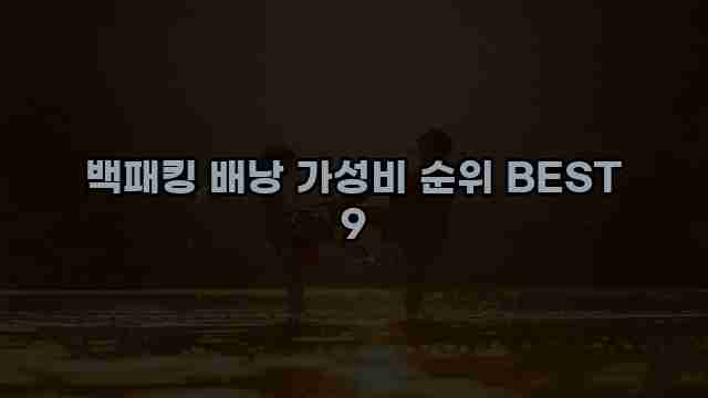 백패킹 배낭 가성비 순위 BEST 9 1 1 백패킹 배낭 가성비 순위 BEST 9
