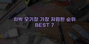 알리파파의 가성비 알리 제품 추천 48962 80