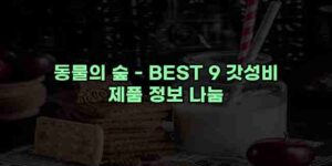 알리파파의 가성비 알리 제품 추천 49211 108