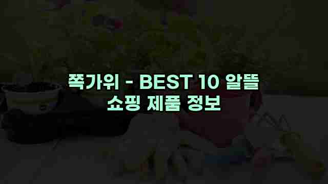 쪽가위 - BEST 10 알뜰 쇼핑 제품 정보