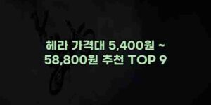 알리파파의 가성비 알리 제품 추천 49207 1