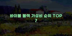 알리파파의 가성비 알리 제품 추천 44297 1