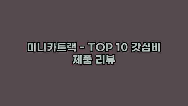 미니카트랙 - TOP 10 갓심비 제품 리뷰