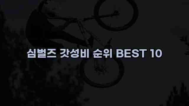 심벌즈 갓성비 순위 BEST 10