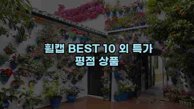  휠캡 BEST 10 외 특가 평점 상품