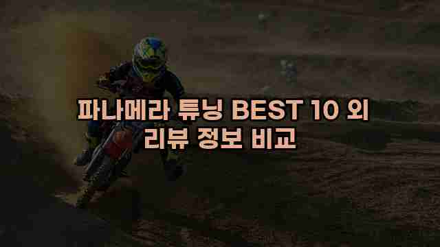  파나메라 튜닝 BEST 10 외 리뷰 정보 비교