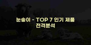 알리파파의 가성비 알리 제품 추천 49637 85
