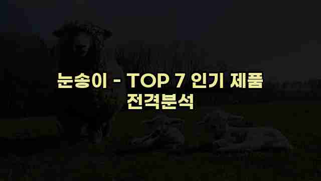 눈송이 - TOP 7 인기 제품 전격분석 1 1 눈송이 - TOP 7 인기 제품 전격분석