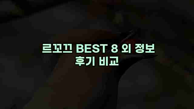  르꼬끄 BEST 8 외 정보 후기 비교