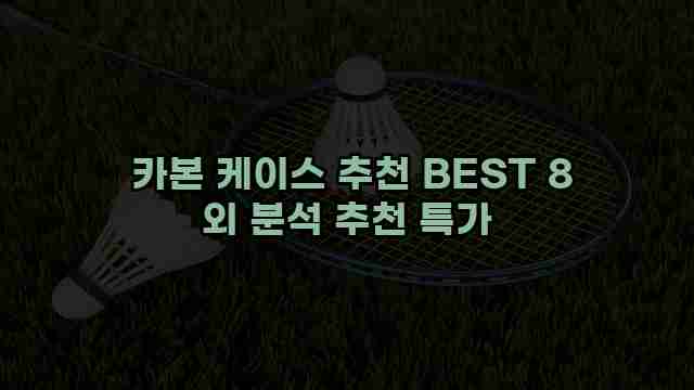  카본 케이스 추천 BEST 8 외 분석 추천 특가