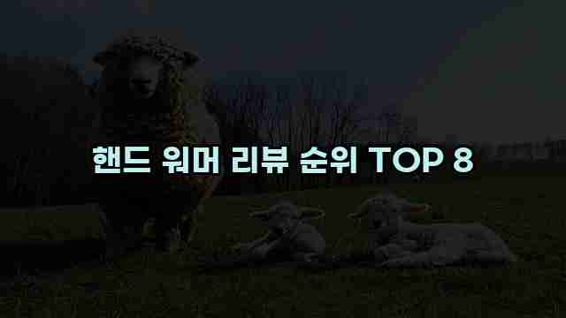 핸드 워머 리뷰 순위 TOP 8