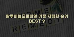 알리파파의 가성비 알리 제품 추천 50076 40