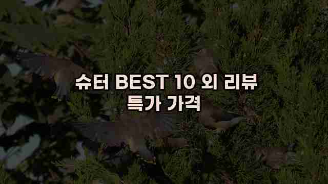  슈터 BEST 10 외 리뷰 특가 가격