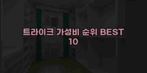알리파파의 가성비 알리 제품 추천 50076 13