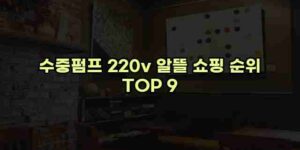 알리파파의 가성비 알리 제품 추천 50369 53