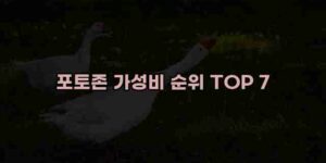 알리파파의 가성비 알리 제품 추천 50369 42