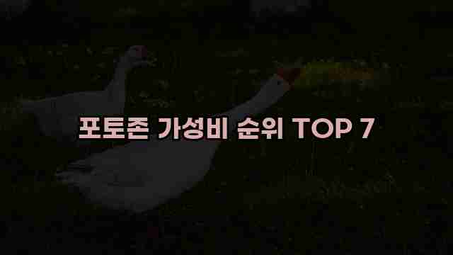 포토존 가성비 순위 TOP 7 1 1 포토존 가성비 순위 TOP 7
