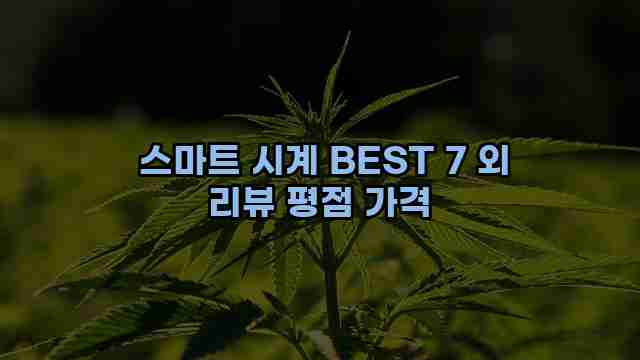  스마트 시계 BEST 7 외 리뷰 평점 가격