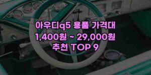 알리파파의 가성비 알리 제품 추천 50683 14