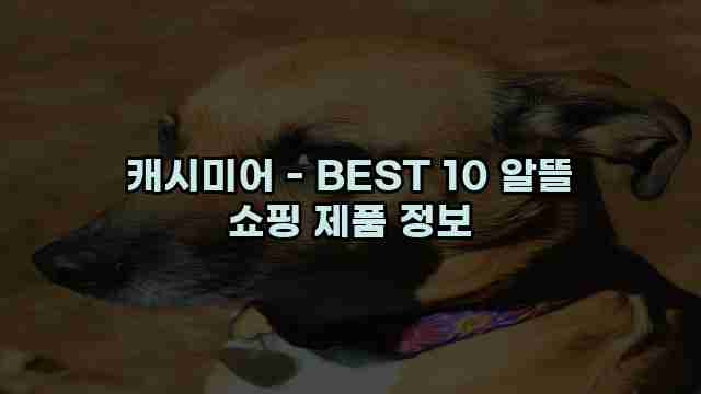 캐시미어 - BEST 10 알뜰 쇼핑 제품 정보