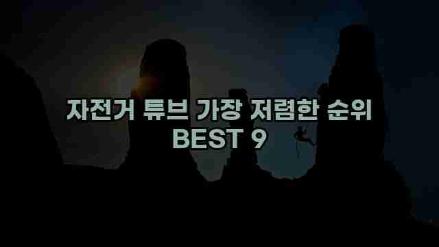 자전거 튜브 가장 저렴한 순위 BEST 9