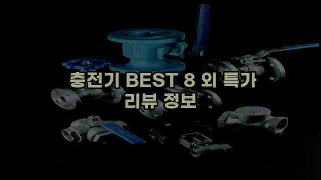  충전기 BEST 8 외 특가 리뷰 정보