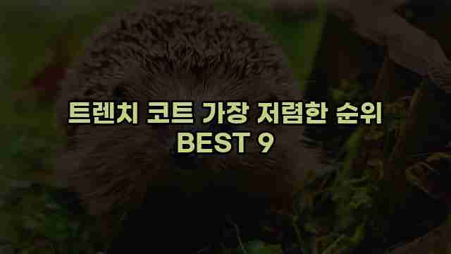 트렌치 코트 가장 저렴한 순위 BEST 9