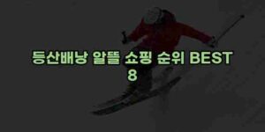 알리파파의 가성비 알리 제품 추천 51535 1