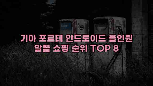 기아 포르테 안드로이드 올인원 알뜰 쇼핑 순위 TOP 8