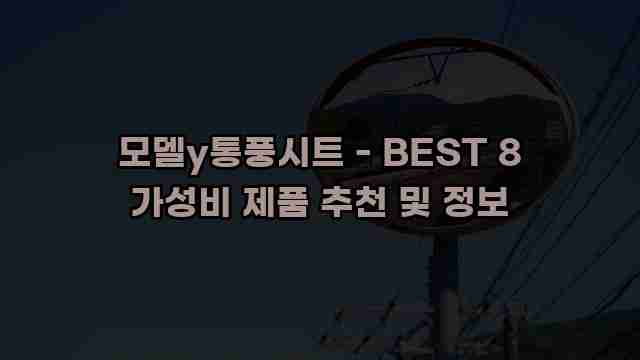 모델y통풍시트 - BEST 8 가성비 제품 추천 및 정보