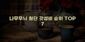 알리파파의 가성비 알리 제품 추천 52473 14