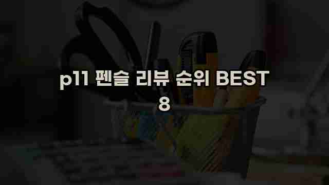 p11 펜슬 리뷰 순위 BEST 8