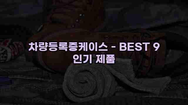 차량등록증케이스 - BEST 9 인기 제품 