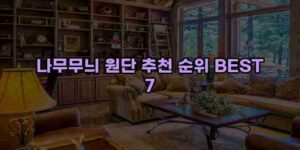 알리파파의 가성비 알리 제품 추천 52600 15