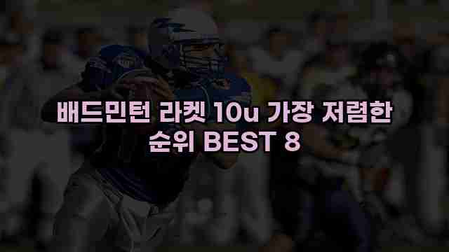 배드민턴 라켓 10u 가장 저렴한 순위 BEST 8