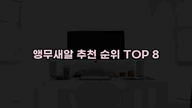 앵무새알 추천 순위 TOP 8